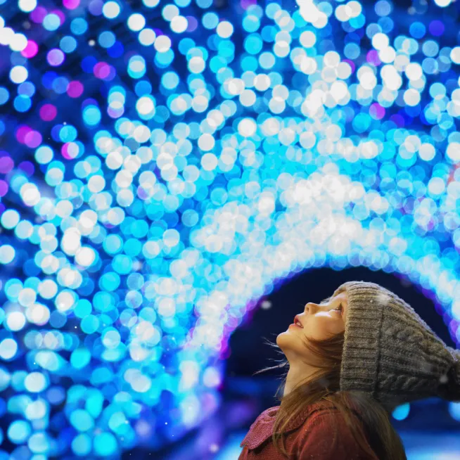 Lucky Ladd Festival of Lights