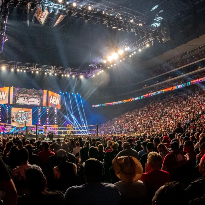 AEW Crowd Image